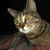 Desiree Bennett's profile image