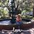 Paula Watkins Bowles's profile image
