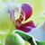 Leigh Ann Vallandigham Buttenhoff's profile image