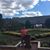 Diego Xavier Coba's profile image
