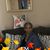 Marzella Mitchell's profile image