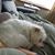 Debra Scott's profile image