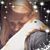 Cat Chez's profile image