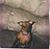 Debbie Highley's profile image