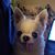 Mark Goslin's profile image