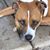 Sue DeWeerth Archer's profile image