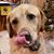 Jennifer Leach Schwalbach's profile image