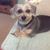 Connie Shepet's profile image