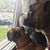 Carlos Reyes Sr.'s profile image