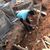 Edgar Omana's profile image