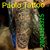Franco Villalba Vallejos's profile image