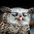 Tina Quinlan's profile image