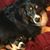 Sharon Castillo's profile image