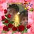 Donna Bickmeyer Ornellas's profile image
