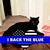 Zenia Sanchez Jackson's profile image