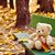 Tiny Teddies's profile image