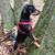 Christy Kubin's profile image