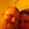 Lynz Skiffington's profile image