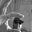 Jessie's profile image