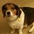 Lynn Cohenour Stevens Grimm's profile image