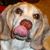 Virginia Butterfield's profile image