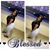 Shara Alyse's profile image