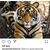 Robert Hodge's profile image