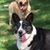 Amy Rosenblatt-Roman's profile image