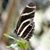 Dennis Wilcox's profile image