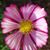 Debbie Eddy's profile image