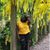 Latasha Bunton's profile image