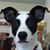 Debra Doerfler's profile image