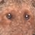 Perkins Roger's profile image