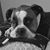 Julie Carden's profile image