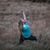 Sarah Wechsberg's profile image