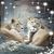 Tracy Myers Davidheiser's profile image