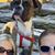 Joe Gallivan's profile image