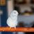 Brekke Felt's profile image