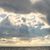 Sheri L Lee's profile image