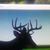 Larry Erke's profile image