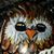 Nancy Ann's profile image