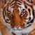 Armando Ramos's profile image
