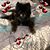 Cherylann Nelson's profile image