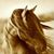 Julie A. Bauman's profile image