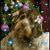 Kitty Hester Bull's profile image