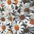 Marcella Kittle's profile image