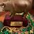 Amy Shavensky Fossett's profile image