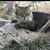 Marla Goecker's profile image