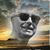 David Binsfeld's profile image