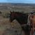 J.b. Roan's profile image